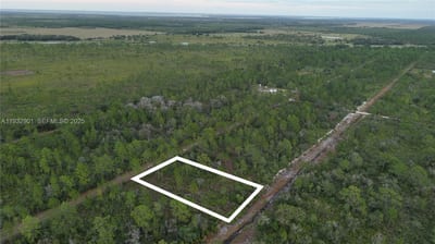 215 Ixora Dr, FL 33855 — 20 of 40