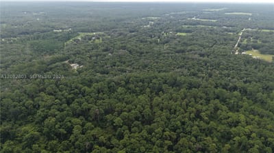 162 Carriage Pl, FL 32189 — 13 of 22