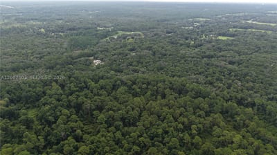 162 Carriage Pl, FL 32189 — 14 of 22