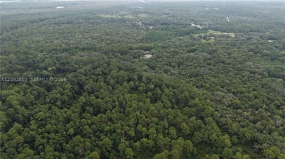 162 Carriage Pl, FL 32189 — 16 of 22