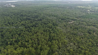162 Carriage Pl, FL 32189 — 17 of 22