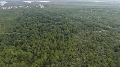 162 Carriage Pl, FL 32189 — 19 of 22