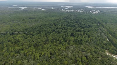 162 Carriage Pl, FL 32189 — 3 of 22