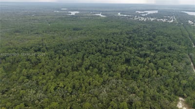 162 Carriage Pl, FL 32189 — 4 of 22