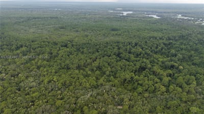 162 Carriage Pl, FL 32189 — 5 of 22