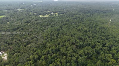 162 Carriage Pl, FL 32189 — 9 of 22