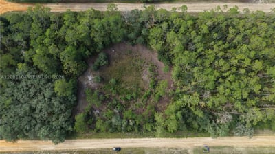 144 Garcia St, FL 32148 — 6 of 23