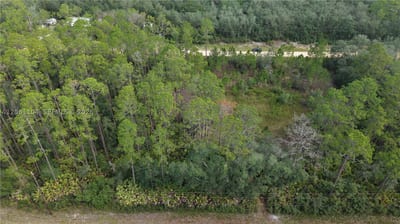 144 Garcia St, FL 32148 — 8 of 23