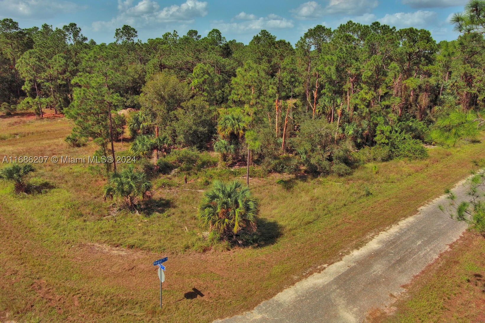 158 Nagel Ave S, Lehigh Acres, FL 33974 — 3 of 18
