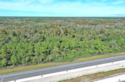 Alligator Aly, Naples, FL 34117 — 6 of 17