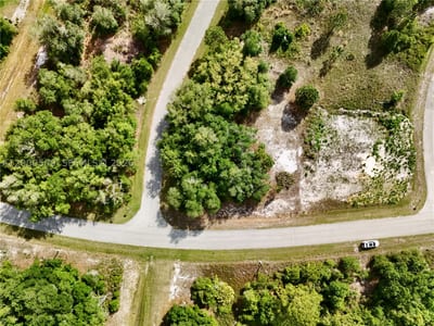 634 Mediterranean, FL 34759 — 8 of 35