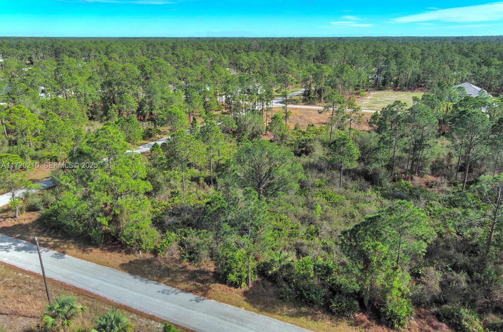 1020 Lake Ave, Lehigh Acres, FL 33972 — 4 of 12