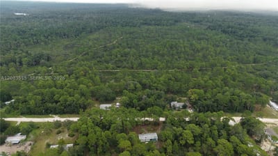 119 Fox Den, FL 32189 — 8 of 47