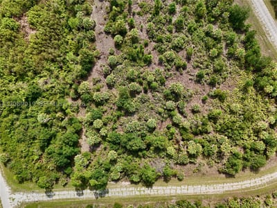 Damo St, North Port, FL 34288 — 22 of 60