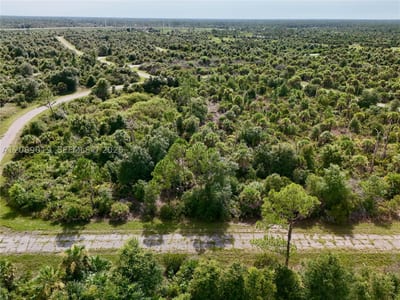 Damo St, North Port, FL 34288 — 25 of 60