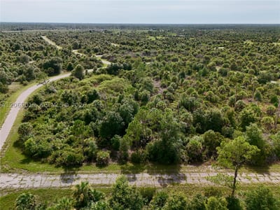 Damo St, North Port, FL 34288 — 26 of 60