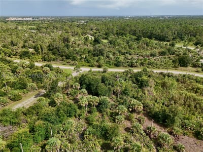 Damo St, North Port, FL 34288 — 53 of 60