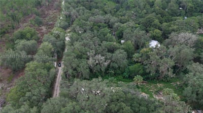 174 Ann St, FL 32640 — 36 of 42