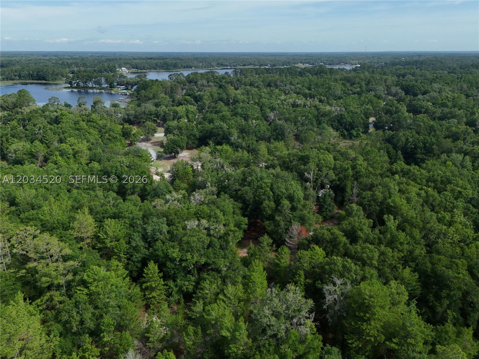141 Strawberry St, FL 32181 — 11 of 16
