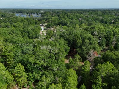 141 Strawberry St, FL 32181 — 14 of 16