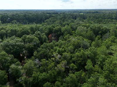 141 Strawberry St, FL 32181 — 15 of 16