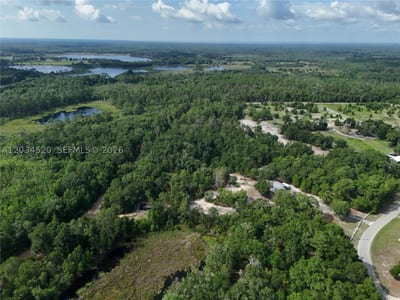 141 Strawberry St, FL 32181 — 8 of 16