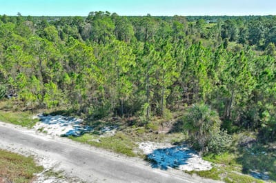 839 Kaley Ave S, Lehigh Acres, FL 33974 — 3 of 28