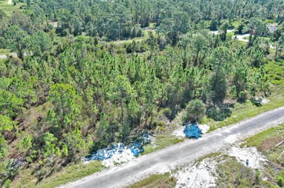 839 Kaley Ave S, Lehigh Acres, FL 33974 — 7 of 28