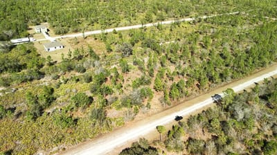 Portulaca Dr, FL 33855 — 19 of 85