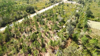 Portulaca Dr, FL 33855 — 21 of 85