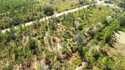 Portulaca Dr, FL 33855 — 22 of 85