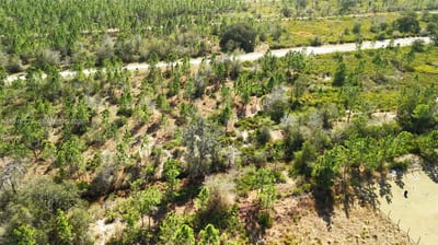Portulaca Dr, FL 33855 — 24 of 85