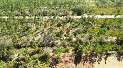 Portulaca Dr, FL 33855 — 25 of 85