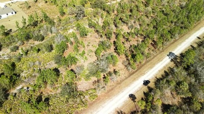 Portulaca Dr, FL 33855 — 40 of 85