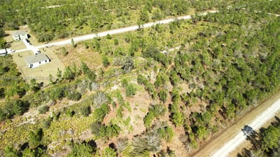 Portulaca Dr, FL 33855 — 41 of 85