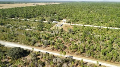 Portulaca Dr, FL 33855 — 50 of 85