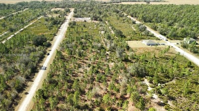 Portulaca Dr, FL 33855 — 57 of 85