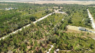 Portulaca Dr, FL 33855 — 60 of 85