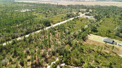 Portulaca Dr, FL 33855 — 61 of 85