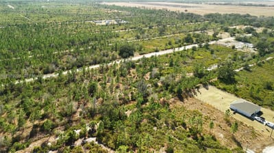 Portulaca Dr, FL 33855 — 63 of 85
