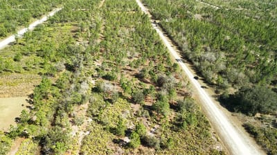 Portulaca Dr, FL 33855 — 78 of 85
