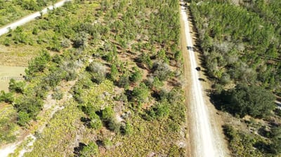 Portulaca Dr, FL 33855 — 80 of 85