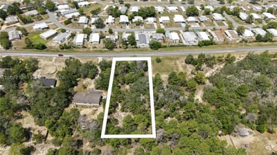 Weeping Willow St, FL 34613 — 2 of 46