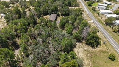 Weeping Willow St, FL 34613 — 29 of 46