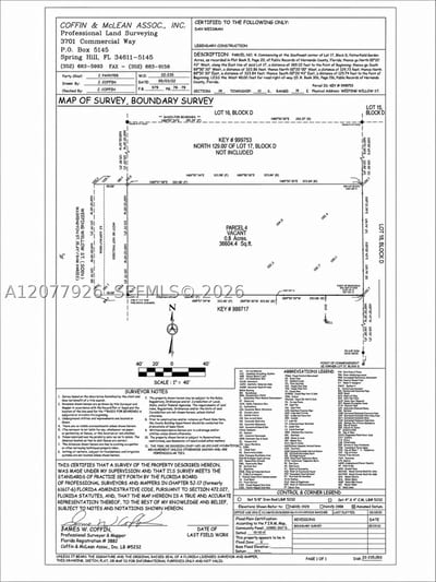 Weeping Willow St, FL 34613 — 3 of 46