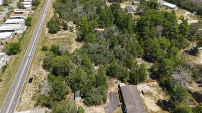 Weeping Willow St, FL 34613 — 43 of 46