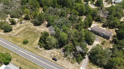 Weeping Willow St, FL 34613 — 9 of 46