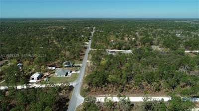 Wood Owl Ave, FL 34614 — 6 of 10