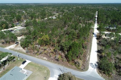 Wood Owl Ave, FL 34614 — 9 of 10