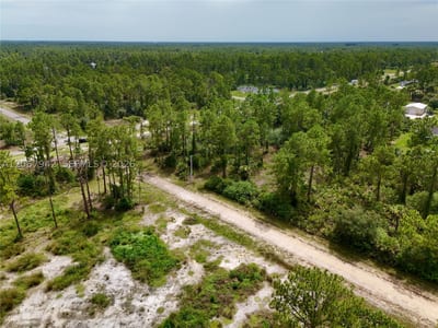 1201 Louis Ave, Lehigh Acres, FL 33972 — 38 of 51
